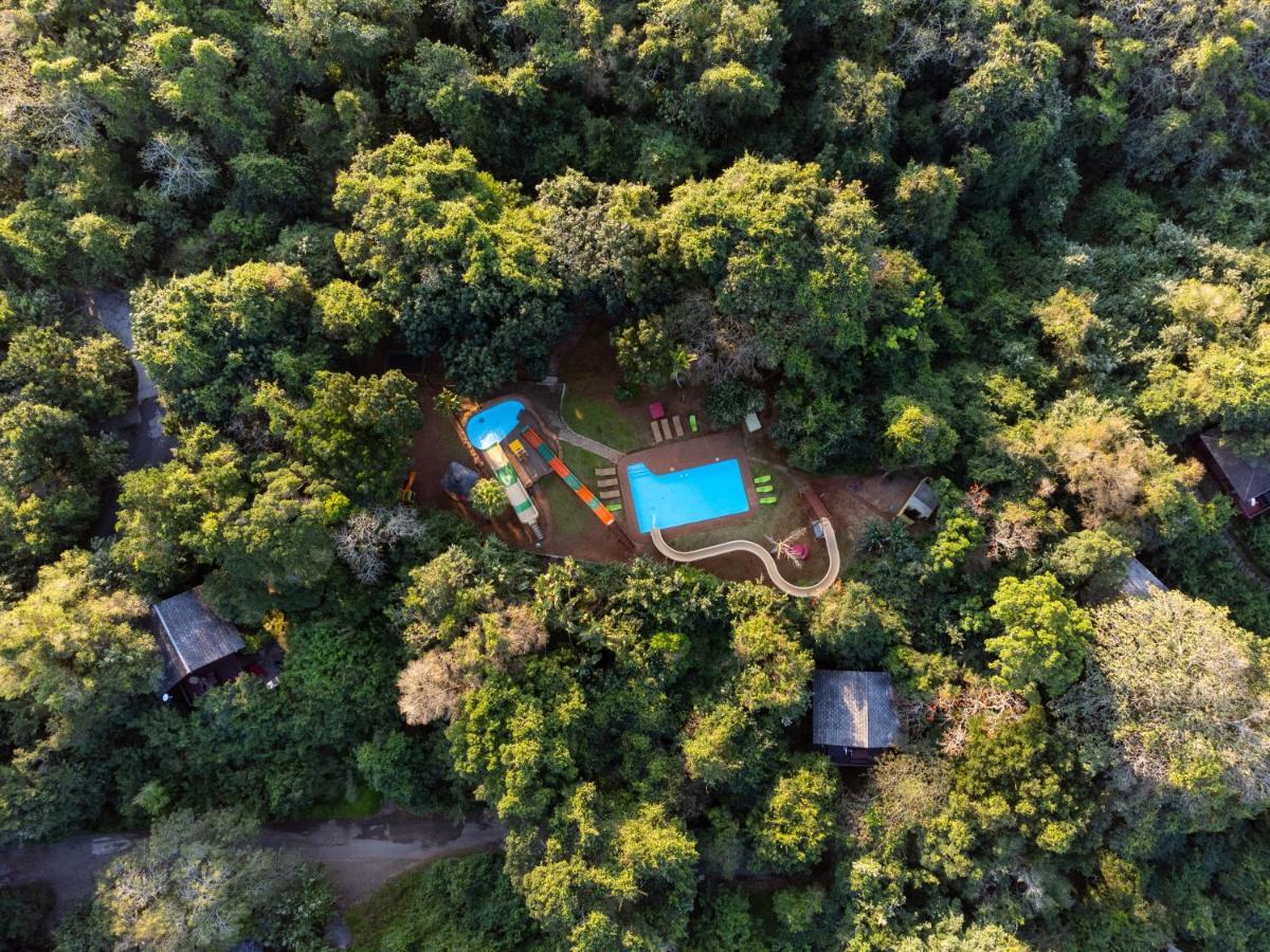 Mtunzini Forest Lodge Self Catering Resort Εξωτερικό φωτογραφία