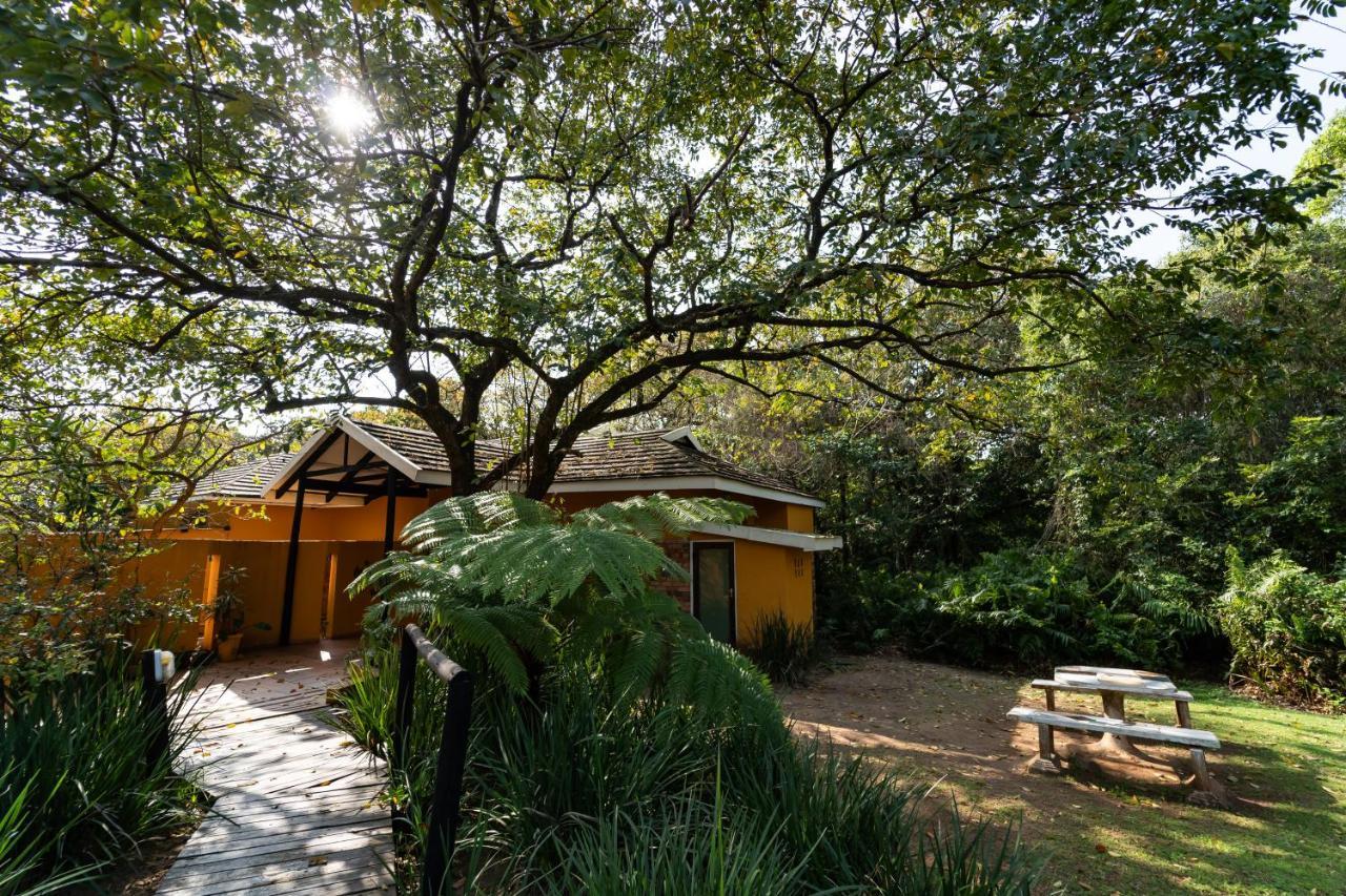 Mtunzini Forest Lodge Self Catering Resort Εξωτερικό φωτογραφία