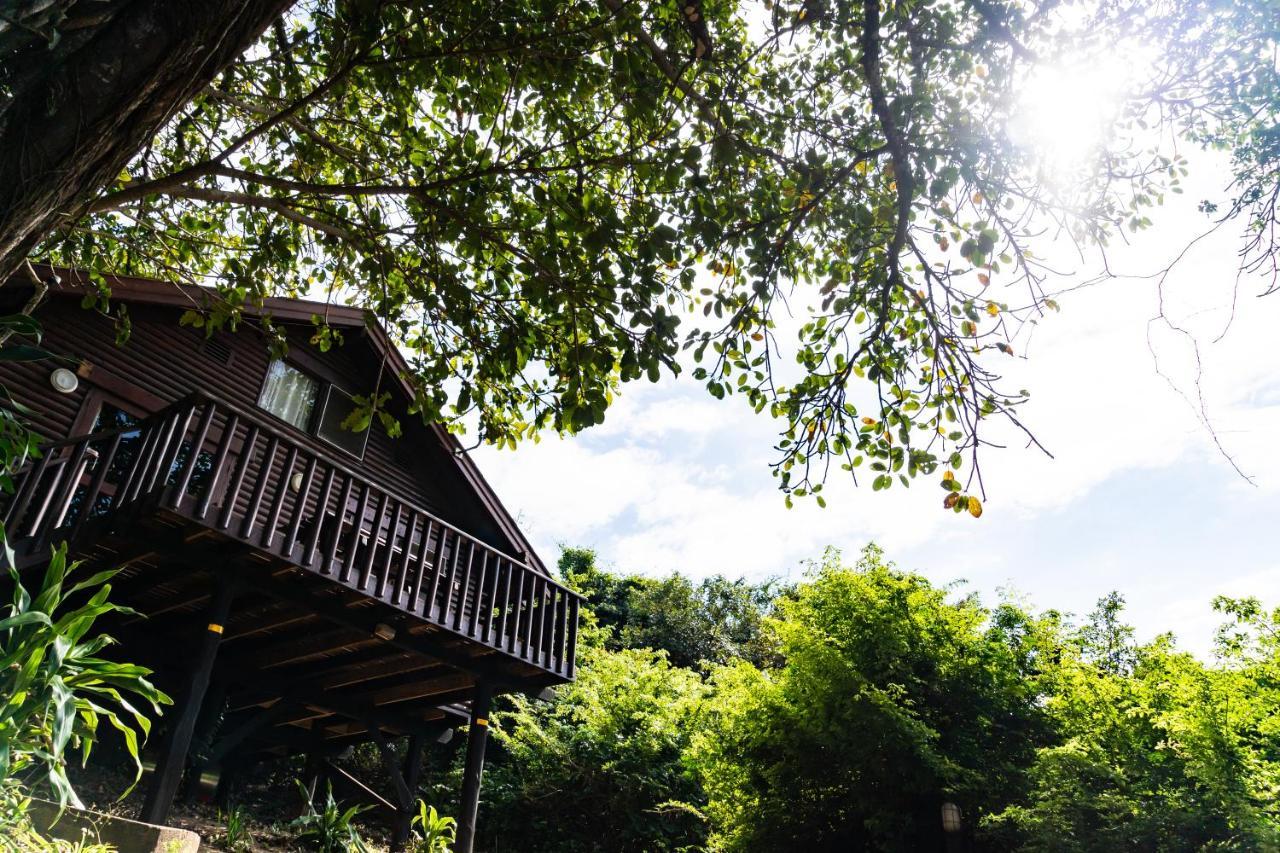 Mtunzini Forest Lodge Self Catering Resort Εξωτερικό φωτογραφία