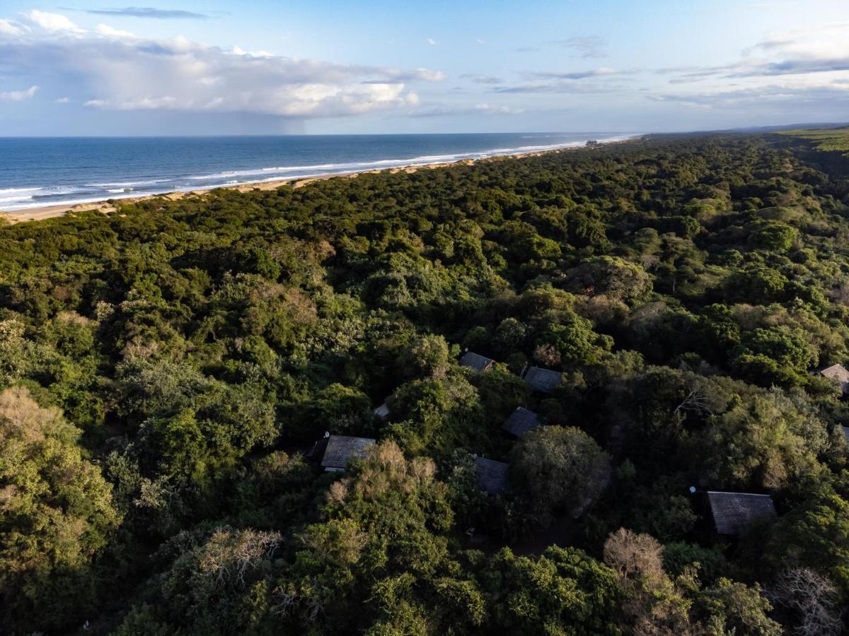 Mtunzini Forest Lodge Self Catering Resort Εξωτερικό φωτογραφία