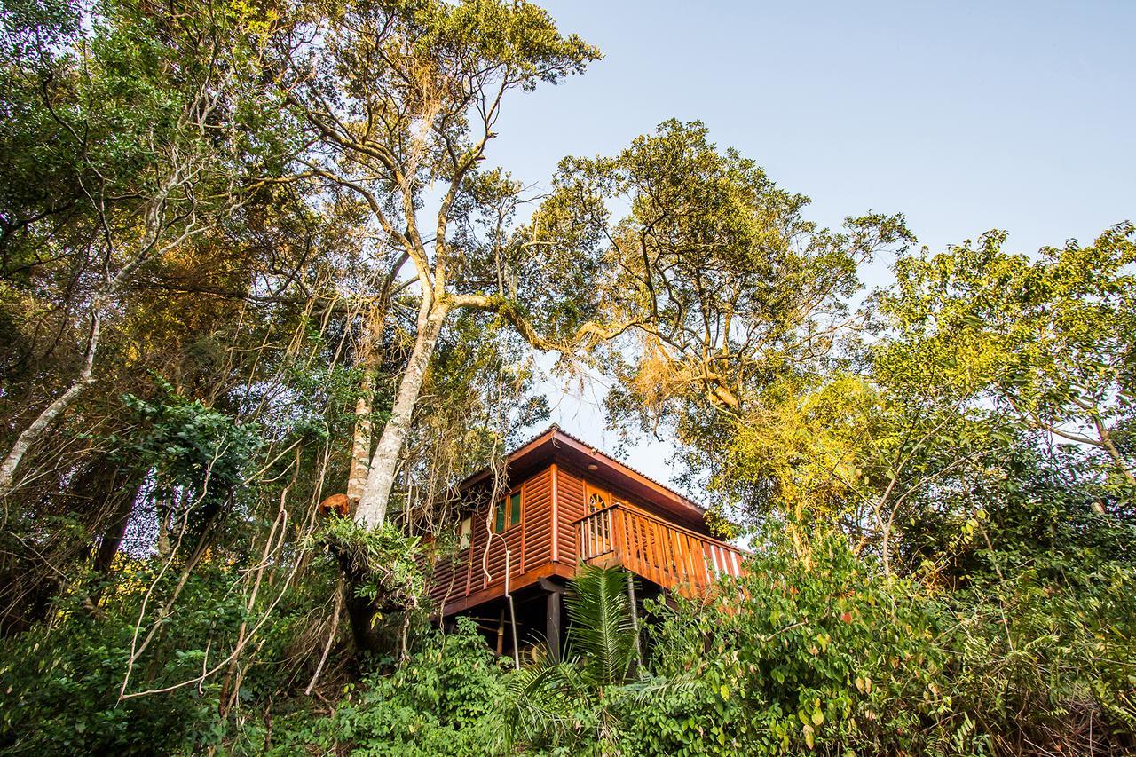 Mtunzini Forest Lodge Self Catering Resort Εξωτερικό φωτογραφία